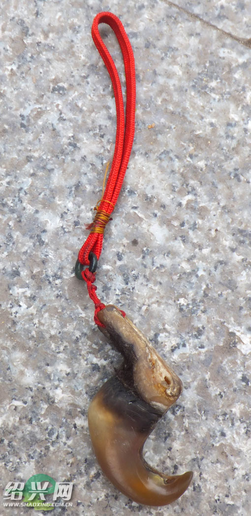 假冒的老虎爪子8000元,不买就亮刀[绍兴网-新