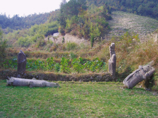 天台三州乡下屋村发现一古墓残址 BR 当地文史