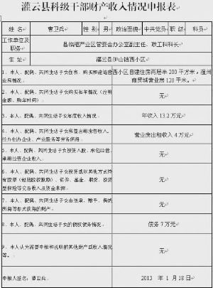纳税申报表_收入申报表(2)