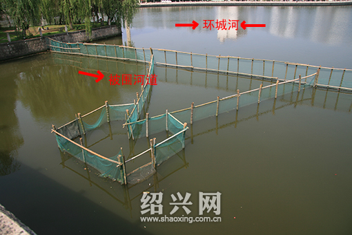 环城河拦河捕鱼两个月  渔政查处已于今日拆掉