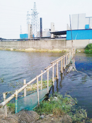 拦河坝拆除后，“拦河网”成了一道新考题[绍兴网-新闻中心]