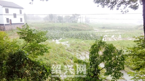 王坛镇南岸村村民家进水,农田遭淹 鱼塘绝收[绍