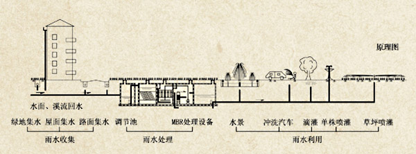 屋顶雨水怎样回收？ 绍兴将建450处集雨系统