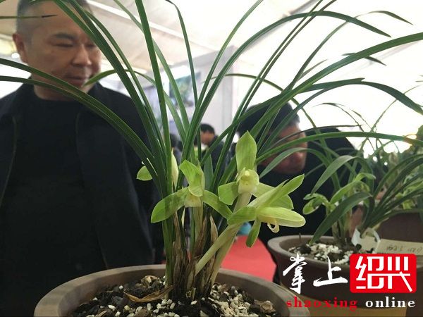 QQ图片20160227101302