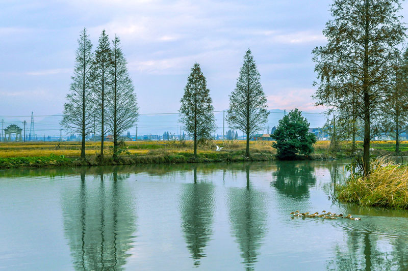 老铁路·新干线--萧甬铁路绍兴行④ | 东南形胜