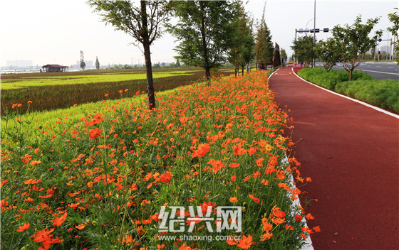 绍兴山路、水路、绿路形成绿色旅游圈|绍兴网