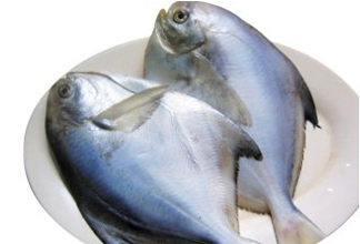 看上去差不多的鲳鳊鱼 为何价差这么大?[绍兴