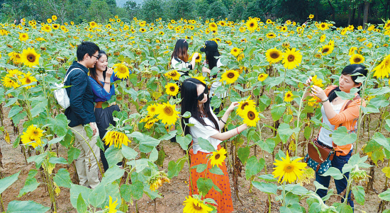 欲钱找思维迟钝的动物_济南动物园门票多少钱_济南世纪园门票价格