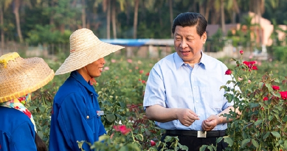 图文故事丨习近平与海南的故事